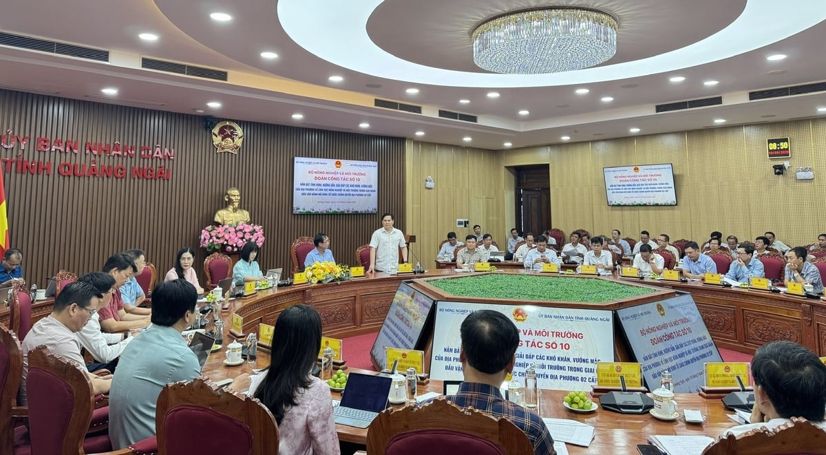 Quảng Ngãi kiến nghị tháo gỡ vướng mắc trong lĩnh vực nông nghiệp, môi trường